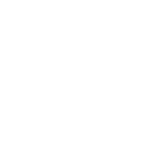 Item Icon Value