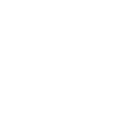 Item Icon Value