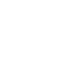 Item Icon Value