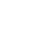 Item Icon Value